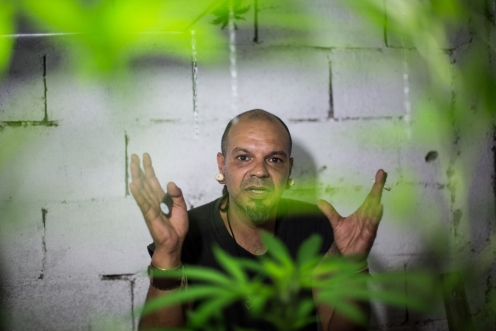 2014.01.29_cannabisuruguaya_UY_AAV-4090